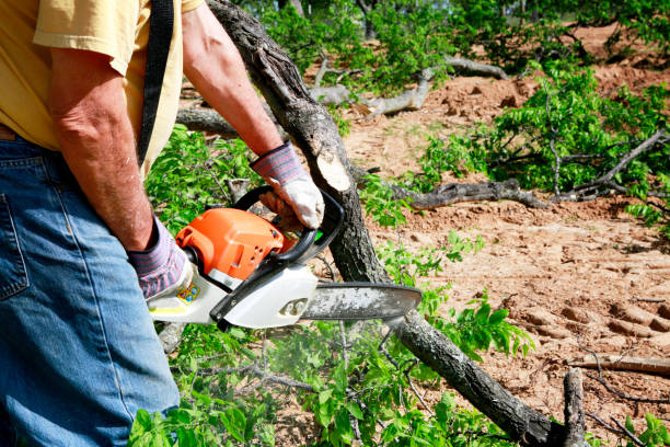 Best Commercial Tree Services  in Mountain Green, UT